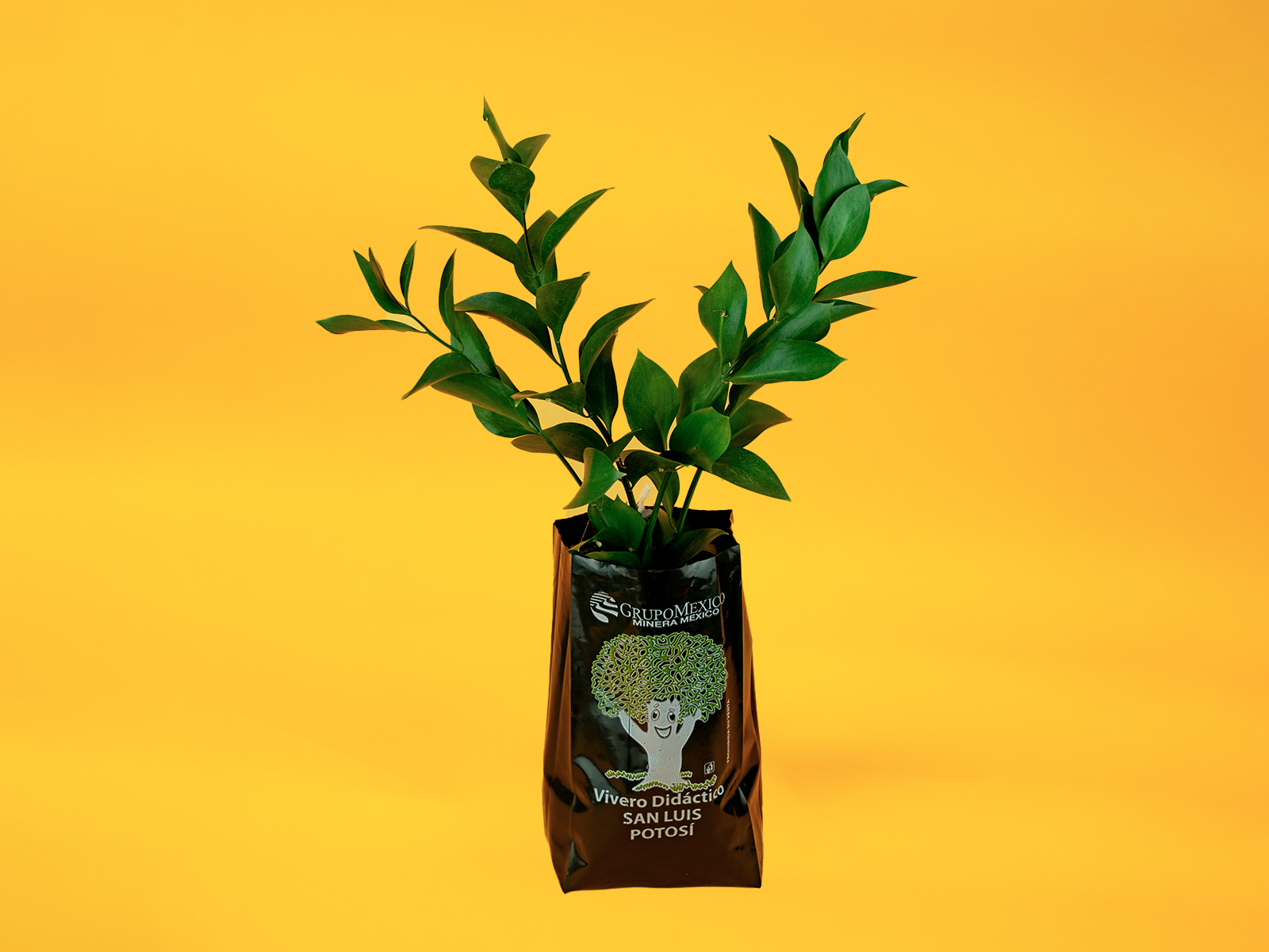 Bolsa Vivero